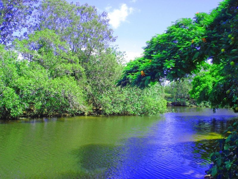 Broadbeach Waters QLD 4218