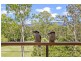 Gilston QLD 4211