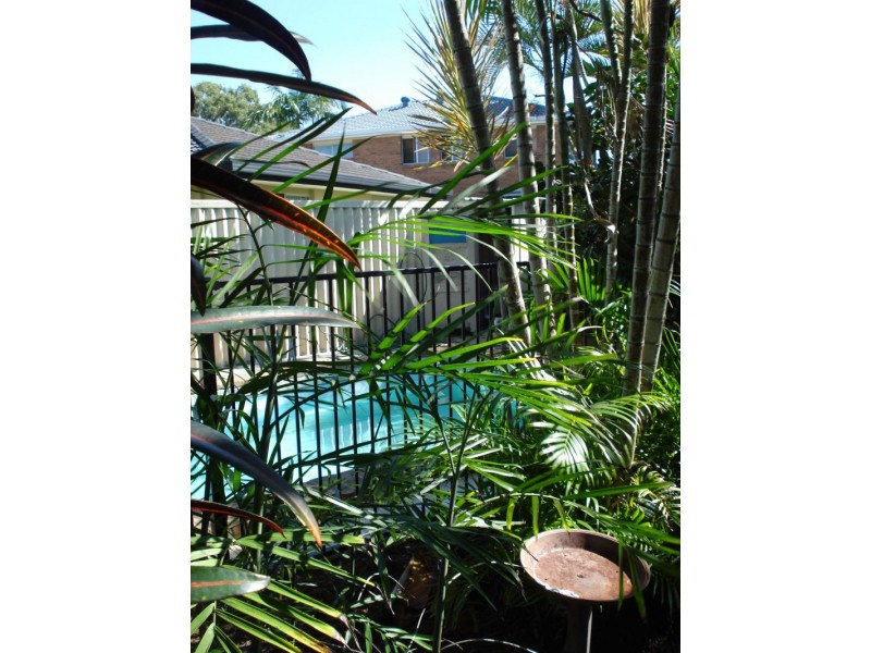 51 Surfers Avenue, Mermaid Waters QLD 4218