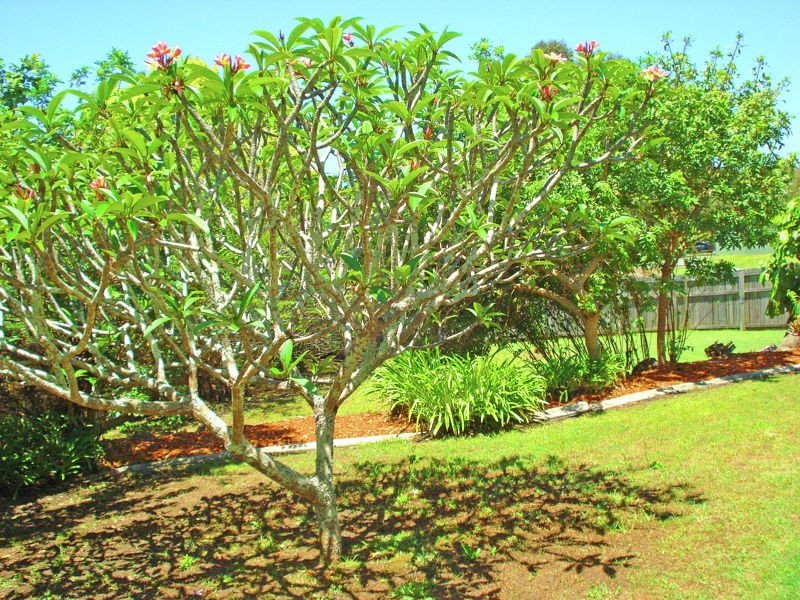 13 Sharne Court, Carrara QLD 4211