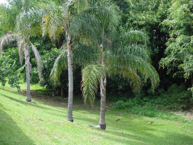 Southport QLD 4215