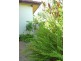 Benowa QLD 4217
