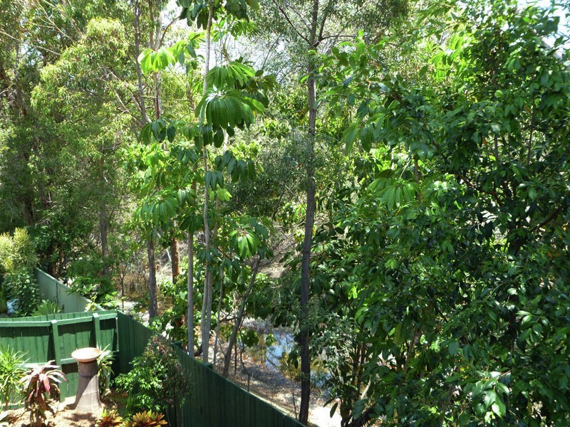 1 / 41 Corunna Crescent, Ashmore QLD 4214