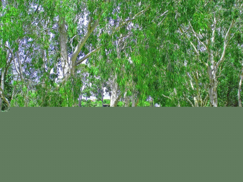 10/25-27 Commerce Drive, Robina QLD 4226