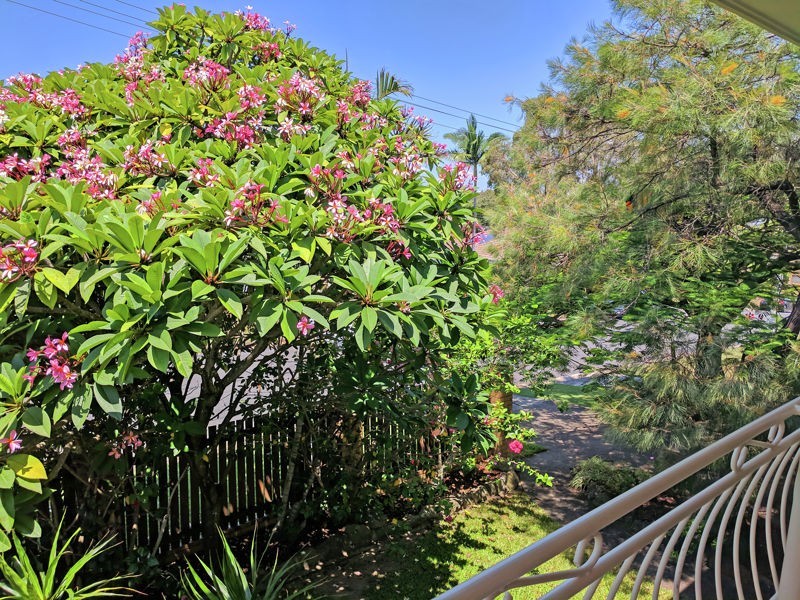 17 CLARE STREET, Southport QLD 4215