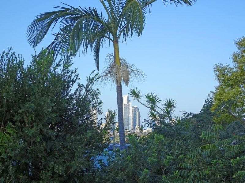 11 HORIZON AVENUE, Ashmore QLD 4214