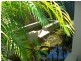 Ashmore QLD 4214