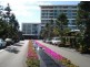 Broadbeach Waters QLD 4218