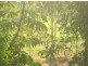 Ashmore QLD 4214