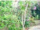 Ashmore QLD 4214