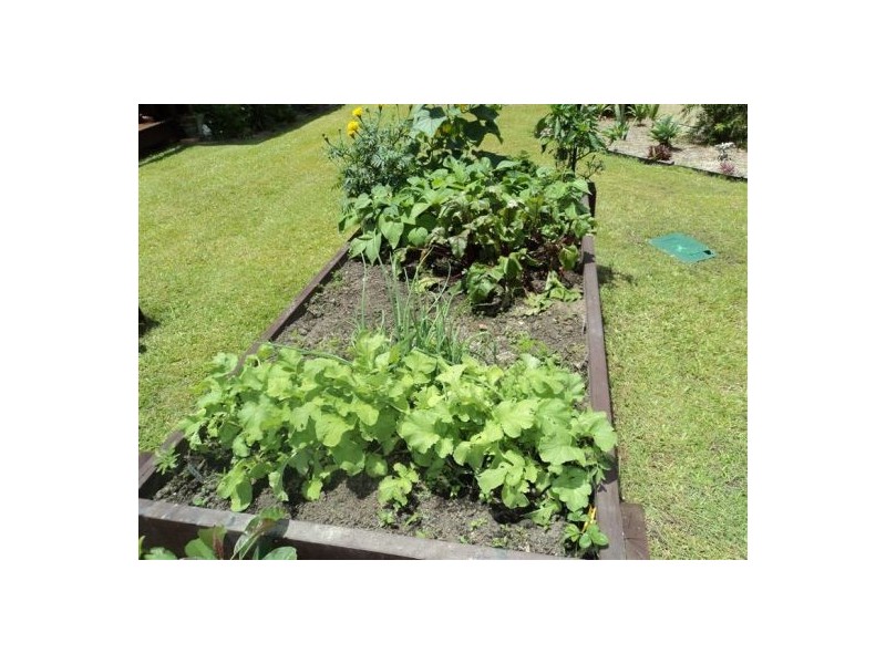 1 Mingaletta Drive, Ashmore QLD 4214