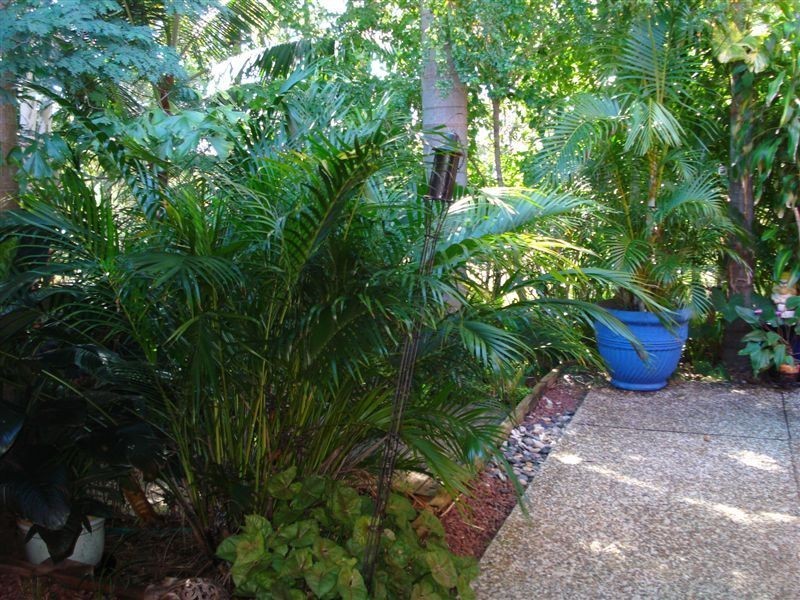 Molendinar QLD 4214