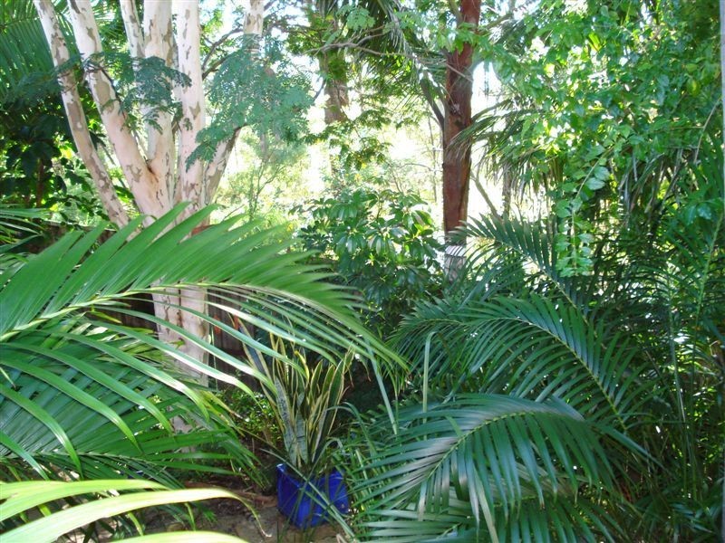 Molendinar QLD 4214