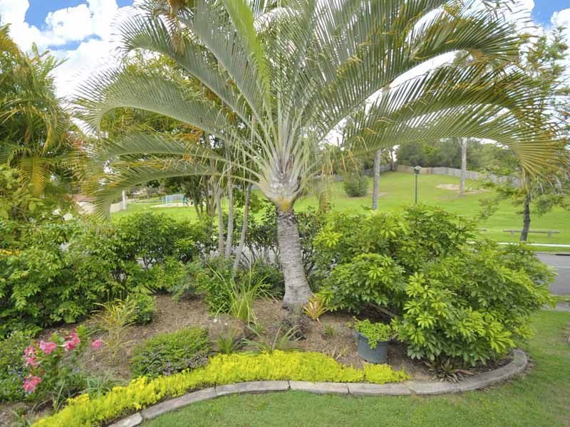Ashmore QLD 4214