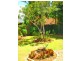 Ashmore QLD 4214