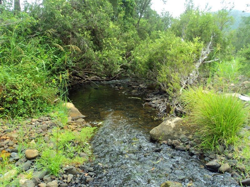 Ferny Glen QLD 4275