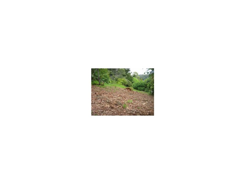 Lot 2/32 Bellbird Ave, Terrigal NSW 2260