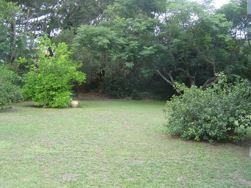 Arila Avenue, Wamberal NSW 2260