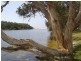 126 Ocean View Drive, Wamberal NSW 2260