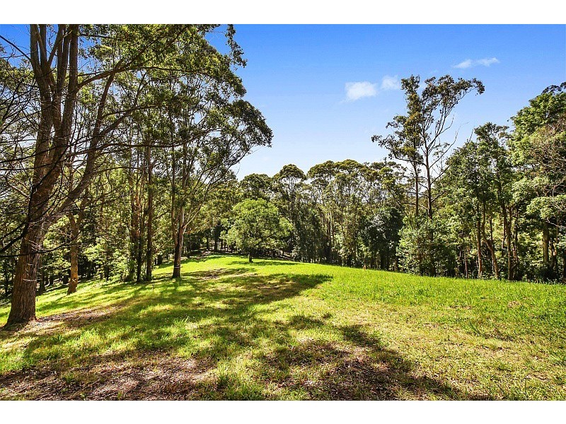 290 Hillside Road, Avoca Beach NSW 2251