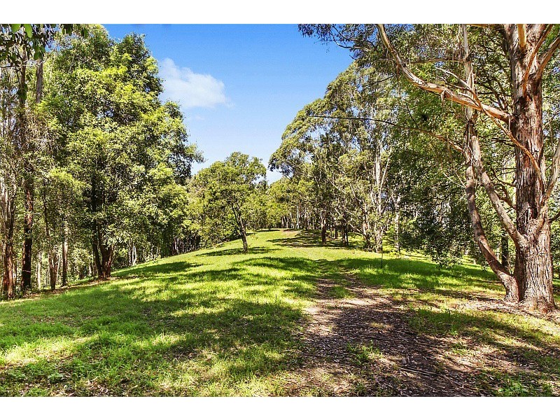 290 Hillside Road, Avoca Beach NSW 2251