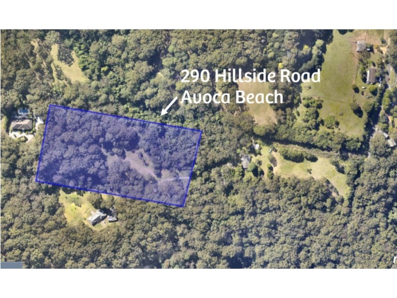 290 Hillside Road, Avoca Beach NSW 2251