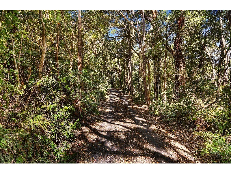 290 Hillside Road, Avoca Beach NSW 2251