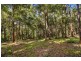 290 Hillside Road, Avoca Beach NSW 2251
