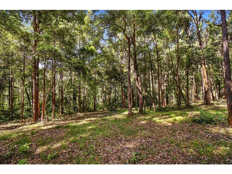 290 Hillside Road, Avoca Beach NSW 2251