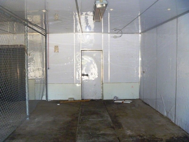 West Gosford NSW 2250