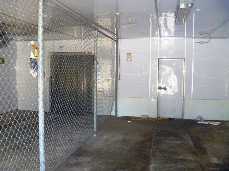 West Gosford NSW 2250