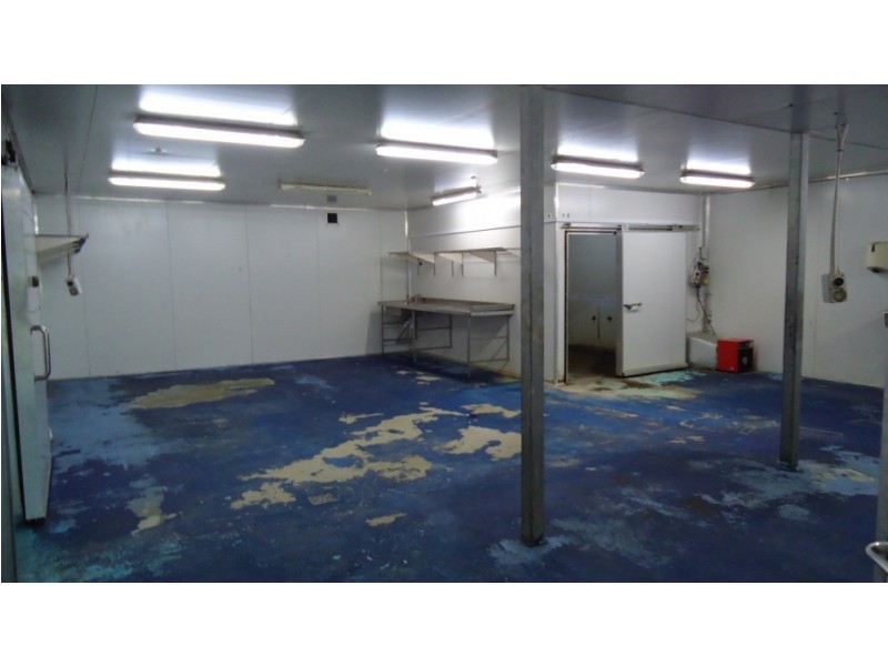 West Gosford NSW 2250