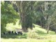 253 Avoca Drive, Avoca Beach NSW 2251