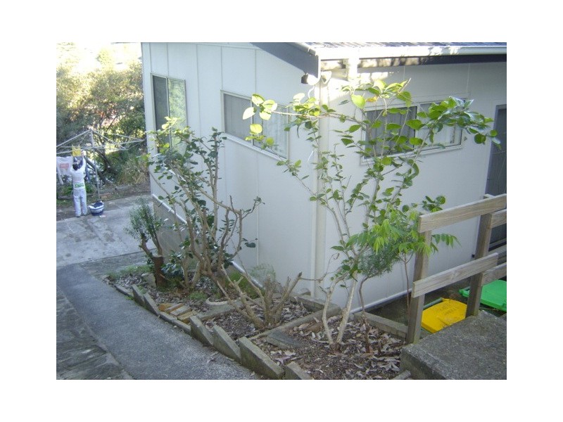 13 Warren Ave, Avoca Beach NSW 2251