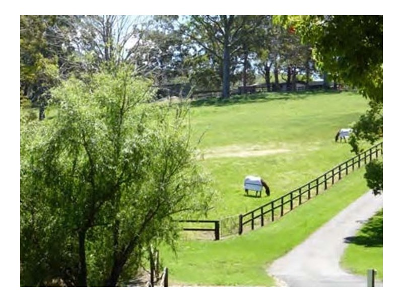 253 Avoca Drive, Avoca Beach NSW 2251