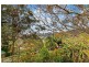 32 Ridgway Road, Avoca Beach NSW 2251