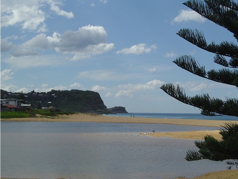 Avoca Beach NSW 2251