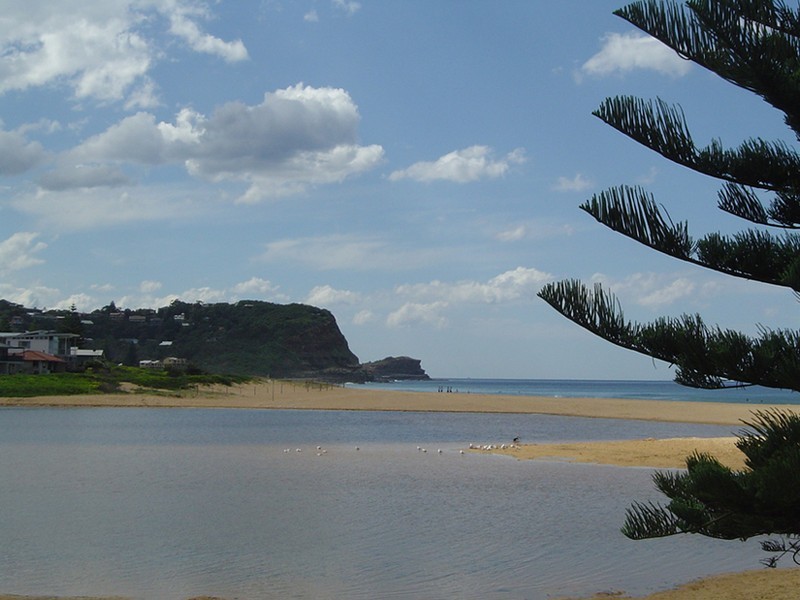 Avoca Beach NSW 2251