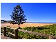 Avoca Beach NSW 2251
