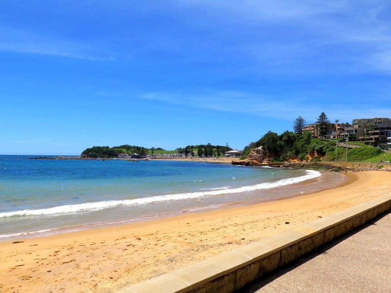 Terrigal NSW 2260