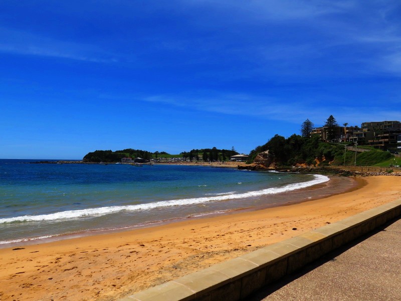Terrigal NSW 2260