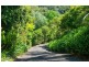 29 Reads Road, Wamberal NSW 2260