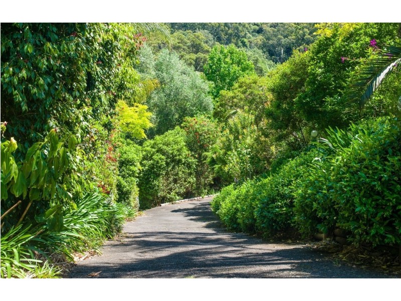 29 Reads Road, Wamberal NSW 2260