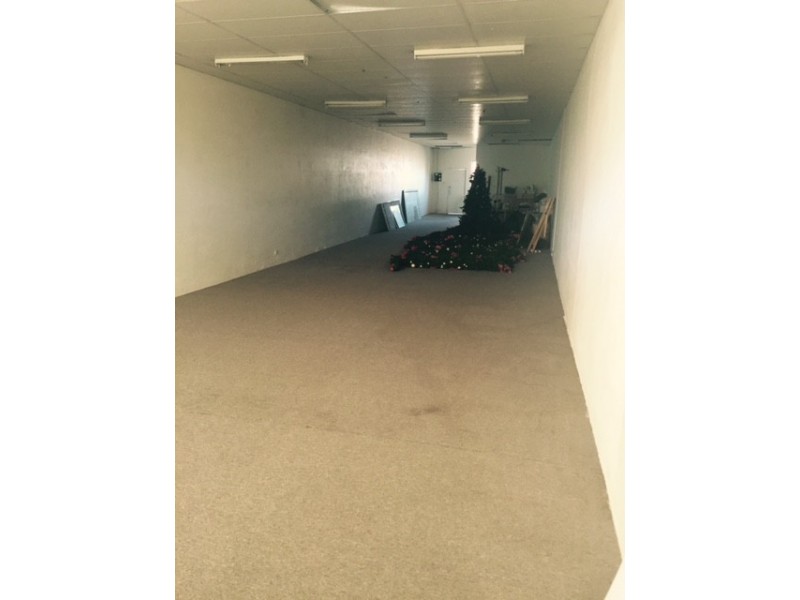 The Entrance NSW 2261