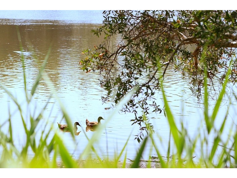 19 Cape Three Points Road, Avoca Beach NSW 2251