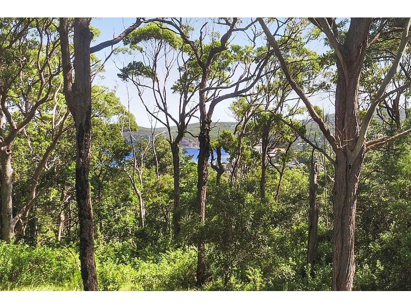 186 Cape Three Points Road, Avoca Beach NSW 2251
