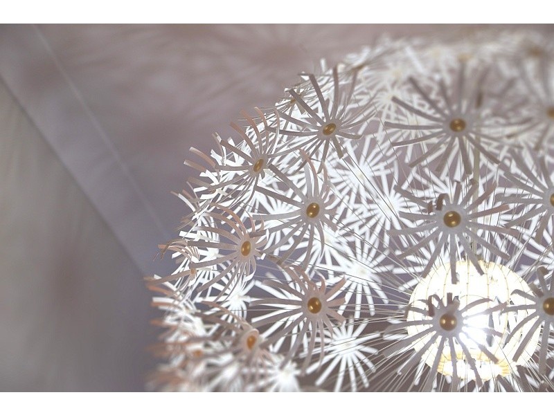 31 Karani Avenue, Avoca Beach NSW 2251