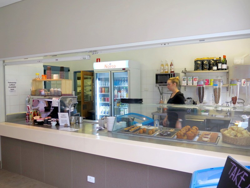 36 Webb Street, Gosford NSW 2250