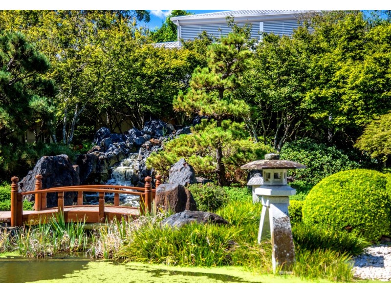 36 Webb Street, Gosford NSW 2250