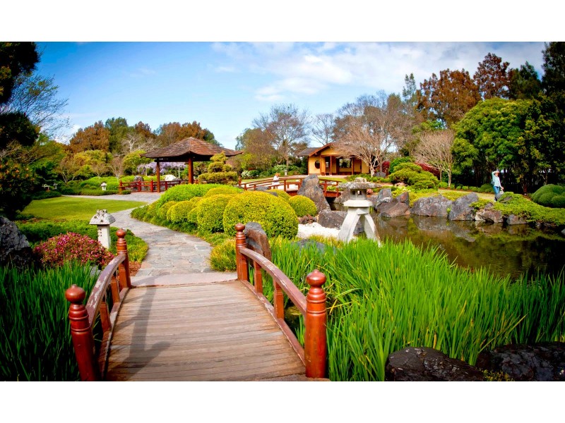 36 Webb Street, Gosford NSW 2250